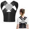 Backbone Straight Belt
